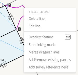 image of an irregular line's context menu.