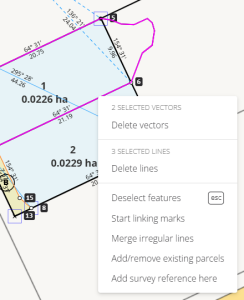 image of the context menu when multiple boundary vectors and an irregular line are selected.