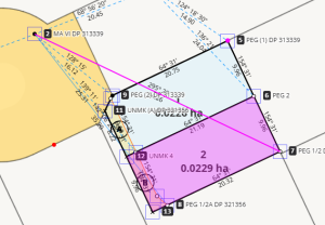image of captured data in survey capture. A vector, mark, and parcel are selected, and are displayed in pink.