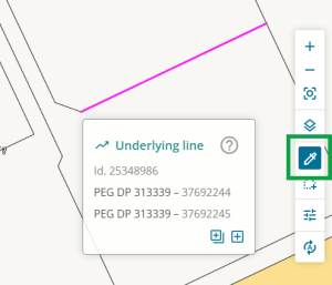 image of the tools control toolbar in survey capture. The Inspect and adopt tool is highlighted, and an underlying line has been selected.