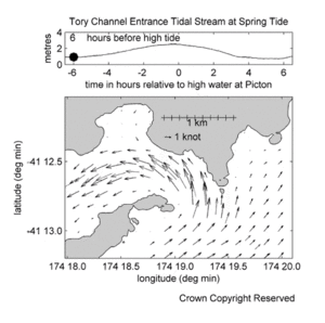 Animation showing the flow of spring tides in the Tory Channel