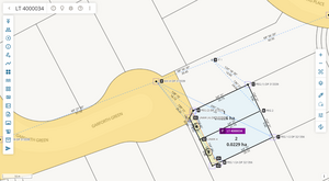 image of the spatial display, with the captured survey zoomed to its extents.