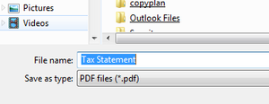 Screenshot of output window showing Tax Statement as default file name