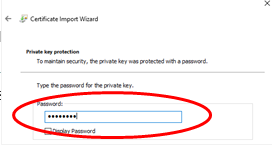 Password field circled in red
