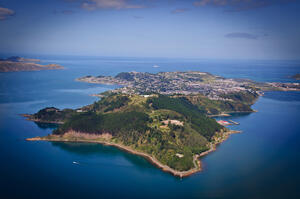 Aerial photo of Te Motu Kairangi (Miramar Peninsula) covered in trees, with the former Mt Crawford Prison at its summit and Wellington Harbour below.