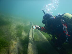 Diver taking images of weeds in Paddock Bay