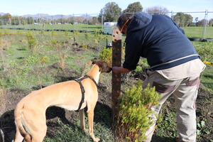 Canine behaviour practitioner Bono Beeler and his dog explore one of the NeuroPark’s sensory stations