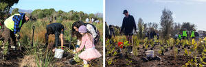 Montage of two photographs from the planting project, including a young child in a tutu with her mother and volunteers digging wearing high vis gear