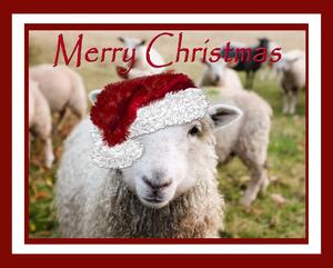 A sheep wearing a Santa hat.