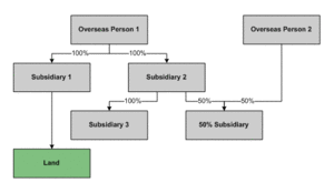 Illustration showing the complex subsidiary process ownership structure