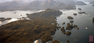 Aerial image across the Dusky Sounds