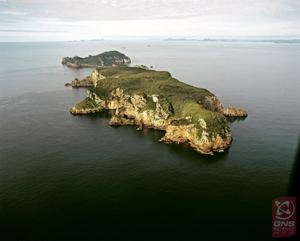 Photo of Poor Knights Islands