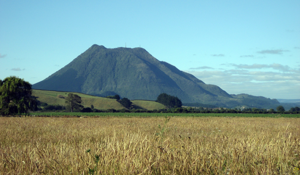 View across a field towards Putauaki or Mount Edgecumbe