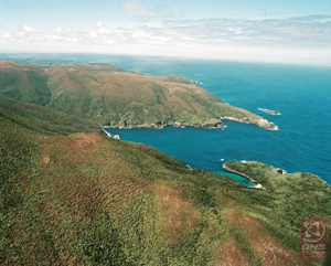 View across South Cape/Whiore