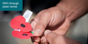 World War 1 through place names: Person holding 2 Anzac Day poppies